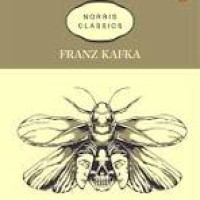 Image of Metamorfosis